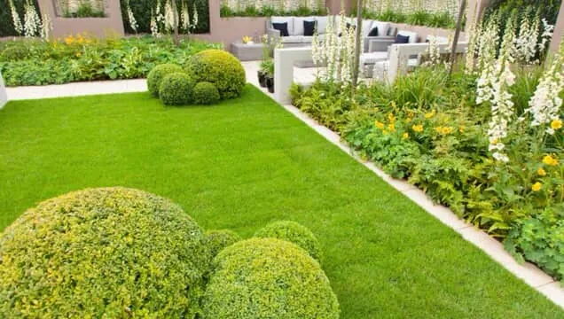 Established Brisbane garden with a manicured green lawn, clipped shrubs and layered planting beds in front of a rendered house